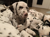 IMG_20250223_231819_web