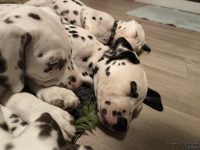 IMG_20250223_231823_web