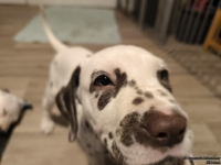 IMG_20250223_231830_web