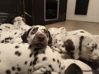 IMG_20250223_232013_web