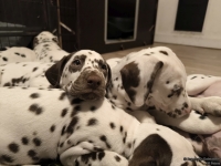 IMG_20250223_232014_web