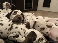 IMG_20250223_232016_web