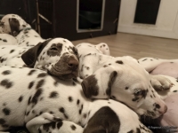 IMG_20250223_232018_web