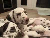 IMG_20250223_232027_web