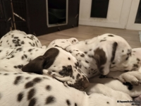 IMG_20250223_232031_web