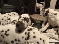 IMG_20250223_232046_web