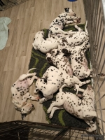 IMG_20250224_000655_web