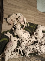 IMG_20250224_000704_web