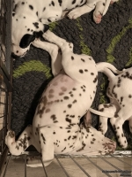 IMG_20250224_000728_web