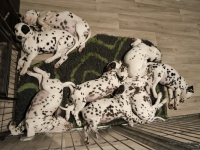 IMG_20250224_000821_web