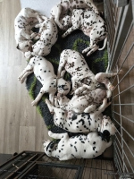 IMG_20250224_131222_web