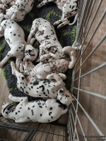 IMG_20250224_131230_web