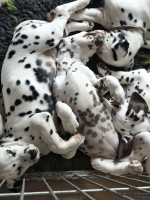 IMG_20250224_131244_web