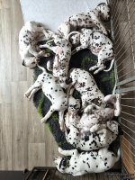 IMG_20250224_131401_web