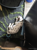 IMG_20250224_131407_web