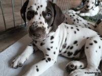 IMG_20250224_145008_web