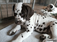 IMG_20250224_145014_web