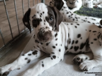 IMG_20250224_145017_web