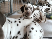 IMG_20250224_145107_web