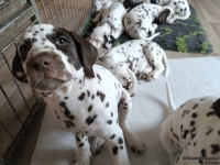 IMG_20250224_145115_web