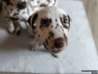 IMG_20250224_145117_web