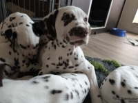 IMG_20250224_145133_web