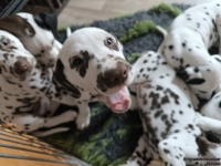 IMG_20250224_145146_web