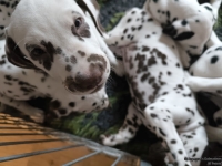 IMG_20250224_145148_web