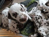 IMG_20250224_145150_web