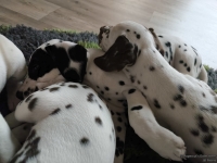 IMG_20250224_145154_web