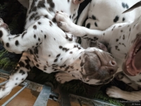 IMG_20250224_145156_web