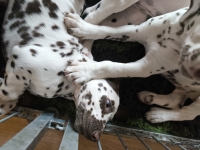 IMG_20250224_145158_web