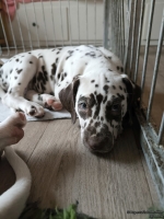 IMG_20250224_145200_web