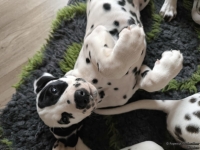 IMG_20250224_145236_web