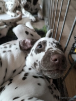 IMG_20250224_145248_web