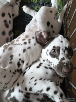 IMG_20250224_145251_web