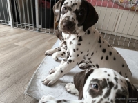 IMG_20250224_145511_web