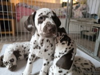 IMG_20250224_145514_web