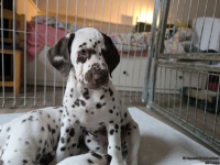 IMG_20250224_145517_web