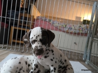 IMG_20250224_145519_web