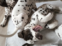 IMG_20250224_145549_web