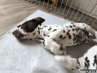 IMG_20250224_145559_web