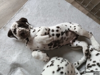 IMG_20250224_145603_web