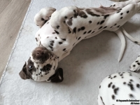 IMG_20250224_145605_web