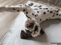 IMG_20250224_145607_1_web