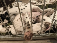 IMG_20250224_193942_web