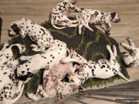 IMG_20250224_194037_web