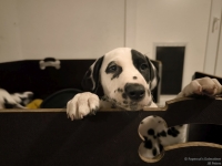 IMG_20250225_200453_web