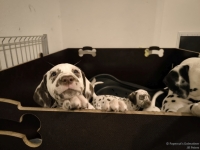 IMG_20250225_200501_web