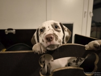 IMG_20250225_200505_web